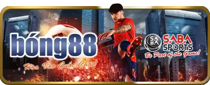 Chương trình hoàn trả N88